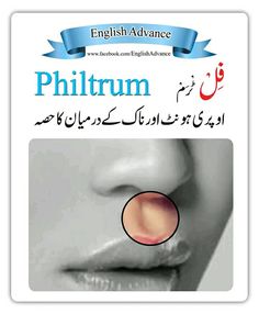 an advertisement with the words, english advance written in two languages and on top of it is