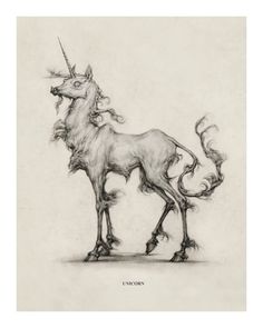 an ink drawing of a unicorn standing on its hind legs