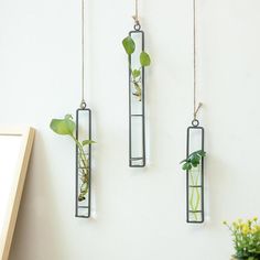 three hanging planters with plants in them on a white wall next to a potted plant