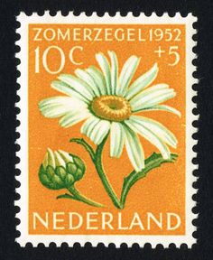 a stamp with a flower on it and the word nederland written in german