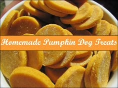 homemade pumpkin dog treats in a bowl with the words homemade pumpkin dog treats above it