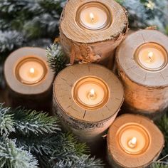 four candles are placed in the middle of some wood logs and pine needles, surrounded by evergreen branches