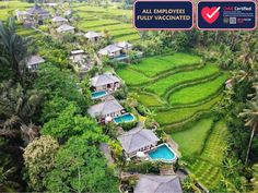 an aerial view of the rice fields and houses in bali, with text that reads all employees fully vaccinated