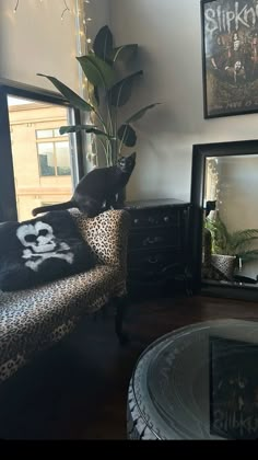 a black cat sitting on top of a leopard print chair in front of a mirror