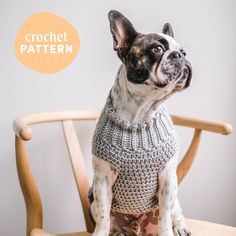 a dog sitting on top of a wooden chair next to a wall with the words crochet pattern written below it