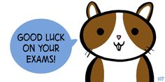 a brown and white cat with a speech bubble saying good luck on your exam