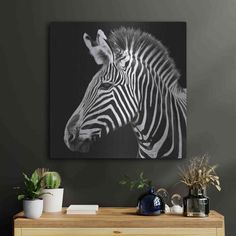 a black and white photo of a zebra on a wall above a dresser with potted plants