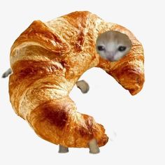 an animal made out of croissants is shown