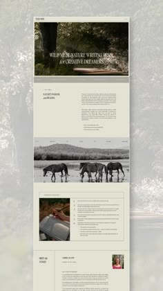 an image of a website page with horses in the background