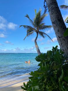 two people swimming in the ocean next to palm trees