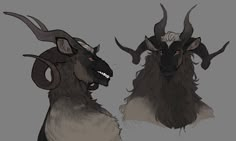 two horned animals with horns on their heads