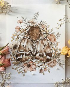 a drawing of a moth with flowers around it