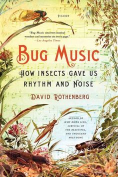 bug music how insects gave us rhythm andnoise by david rohenberg