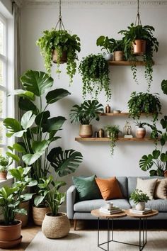 a living room filled with lots of plants and potted plants on top of shelves