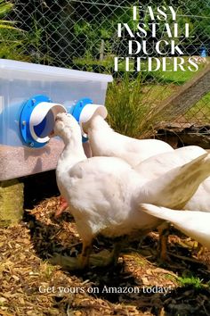 two white ducks standing next to each other in front of a plastic container with the words easy install duck feeders