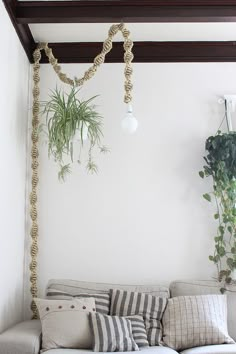 a living room filled with lots of furniture next to a wall mounted planter and potted plants