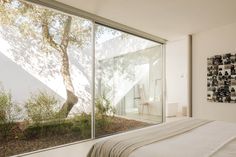 there is a bedroom with glass walls and a tree outside the window on the wall