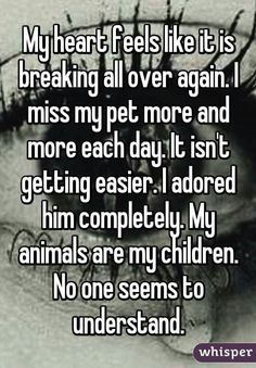 a woman's face with the words, my heart feels like it is breaking all over again i miss my pet more and more than getting easier