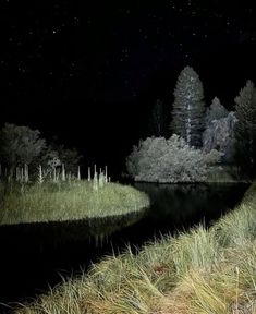 the night sky is lit up with stars and trees in the background, along with water