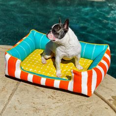 a small dog sitting on top of an orange and white bed next to a pool