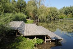 a wooden dock sitting on top of a river next to a lush green forest filled with trees