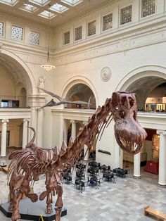 a large dinosaur skeleton is in the middle of a museum with tables and chairs around it