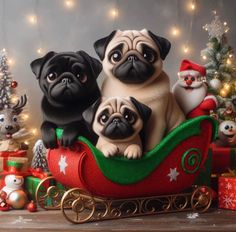 three pug dogs are sitting in a sleigh with christmas decorations around them