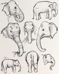 several elephants are shown in this drawing on paper, including one elephant and the other an elephant