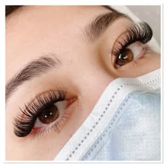 3d Hybrid Lash Extensions, Full Classic Lash Extensions, Curly Lash Extensions, Fries Aesthetic, Hybrid Lash Extensions, Types Of Eyelash Extensions, Eyelash Extensions Classic, Natural Fake Eyelashes, Best False Eyelashes