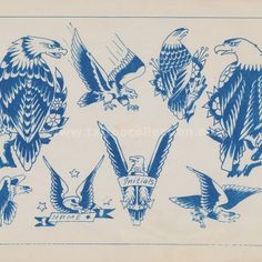 blue and white ink drawing of eagle tattoos on a sheet of paper with the words eagles written below them