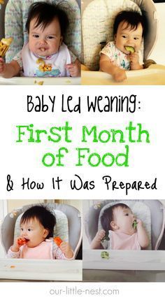 baby led weaning first month of food and how it was prepared