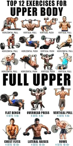 the top exercises for upper body full upper and lower back workouts, with an image of