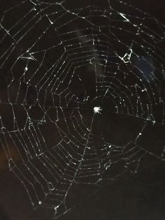 a spider web is shown in the dark