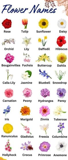 flower names for different types of flowers in english and spanish, with pictures of them