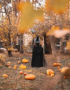 a halloween scene with pumpkins on the ground and a scarecrow dressed in black