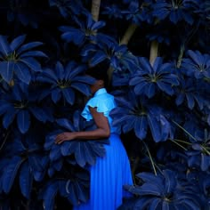 a woman in a blue dress standing next to a bush with purple leaves on it