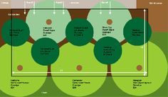 a diagram showing the different types of trees and how they are labeled in each section