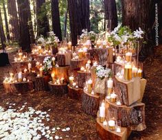 many candles are lit in the woods with white flowers and greenery on each tree stump