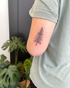 a person with a small pine tree tattoo on their left upper arm and right lower arm