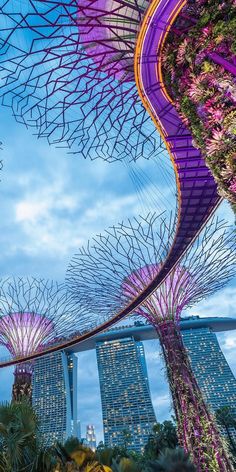 the gardens by the bay in singapore are covered with purple and yellow flowers at night