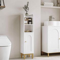 a white toilet sitting in a bathroom next to a tall bookcase filled with books