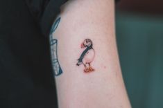 a small penguin tattoo on the arm