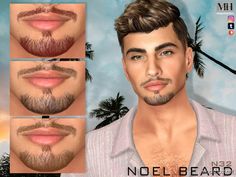 an image of a man with beards and mustaches for the simse game noel beard