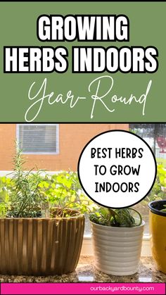 This post is all about how to grow herbs indoors. It covers all of the best herbs to grow indoors, and everything you need to grow herbs indoors. It also covers the surprising benefits of growing herbs indoors! (Free Herb Plant Markers Printable) Beginner Homesteading, Idaho Garden, Grow Herbs Indoors, Herbs To Grow Indoors, How To Grow Herbs, Best Herbs To Grow, Herbs To Grow, Herb Garden Planter, Growing Herbs Indoors