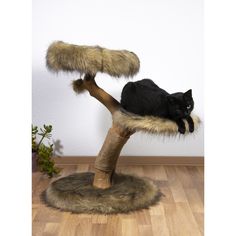 a black cat sitting on top of a tree branch in the middle of a room