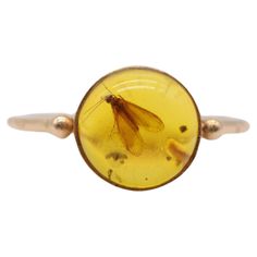 Enter the realm of enchantment with this mesmerizing 14k yellow gold ring, a true testament to the beauty of nature's wonders. Nestled within its golden embrace lies a captivating insect encased in amber, resembling a tiny timepiece frozen in time. This exquisite ring holds within it a rare and absolute marvel of nature—a phenomenon that is both extraordinary and exceptionally scarce. The organic allure of the amber encapsulates the delicate intricacies of the insect, preserving its form and ess Insect Ring, Amber Ring, Frozen In Time, Domed Ring, Yellow Gold Ring, Unique Charms, Rarity, Yellow Gold Rings, Gold Ring