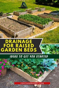 several raised garden beds with plants in them and the words, drainage for raised garden beds ideas to get you started