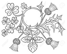 a black and white drawing of holly branches with berries, leaves and acorns