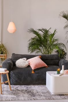 a living room filled with furniture and potted plants