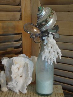 a vase filled with sea shells on top of a table